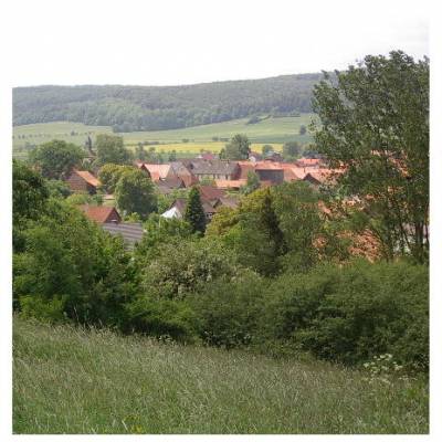 Lthorst 2006 - Lüthorst Landschaft 2006