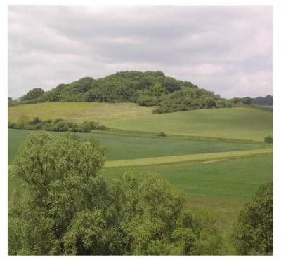 Lthorst 2006 - Lüthorter Landschaft 2006