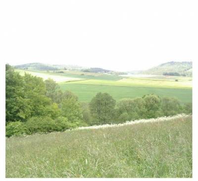 Lthorst 2006 - Lüthorster Landschaft 2006