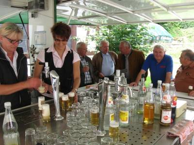 Brunnenfest 2012 - 