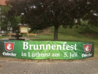 Brunnenfest 2015 - 